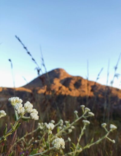 Pico da Lapínha