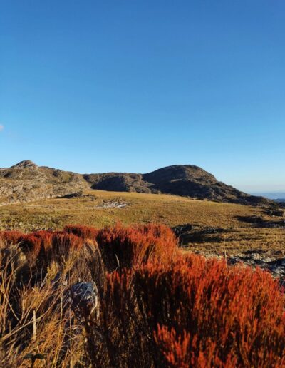 Pico da Lapínha